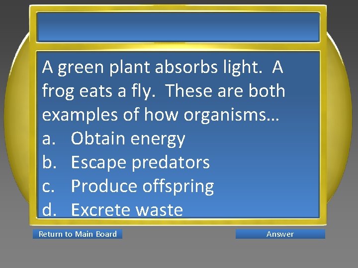 A green plant absorbs light. A frog eats a fly. These are both examples