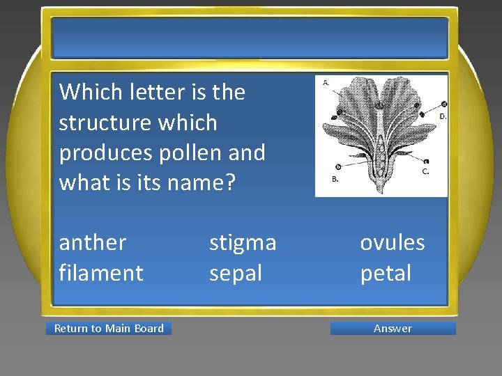 Which letter is the structure which produces pollen and what is its name? anther