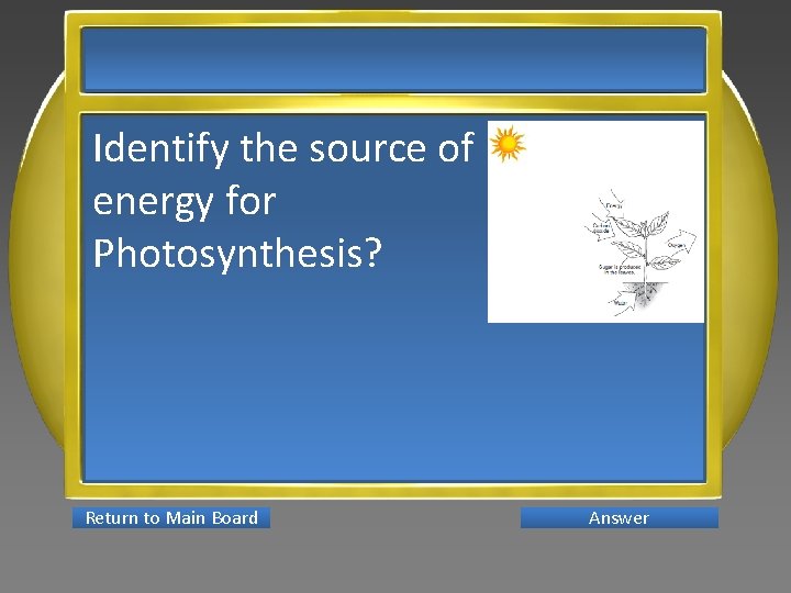 Identify the source of energy for Photosynthesis? Return to Main Board Answer 