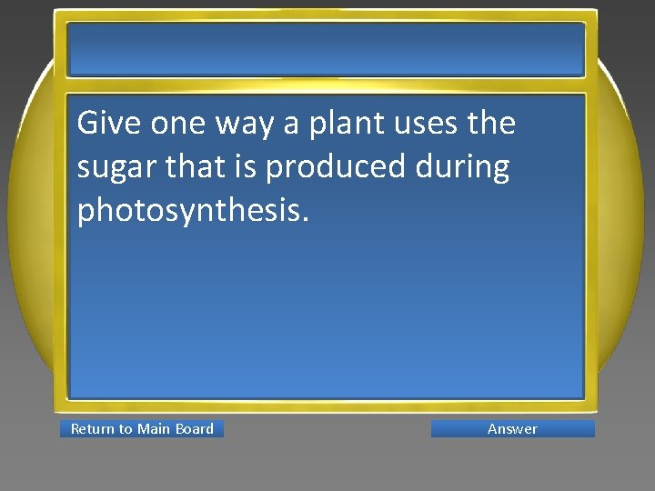 Give one way a plant uses the sugar that is produced during photosynthesis. Return