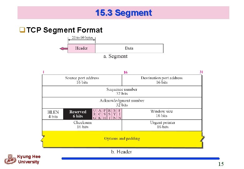 15. 3 Segment q. TCP Segment Format Kyung Hee University 15 