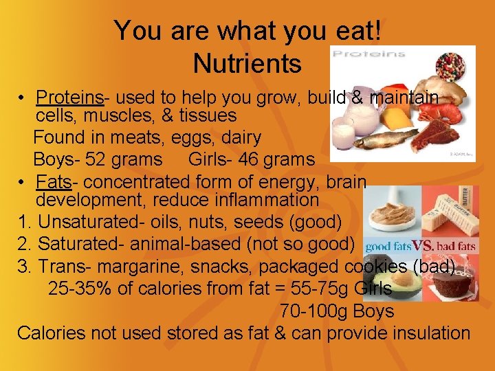 You are what you eat! Nutrients • Proteins- used to help you grow, build