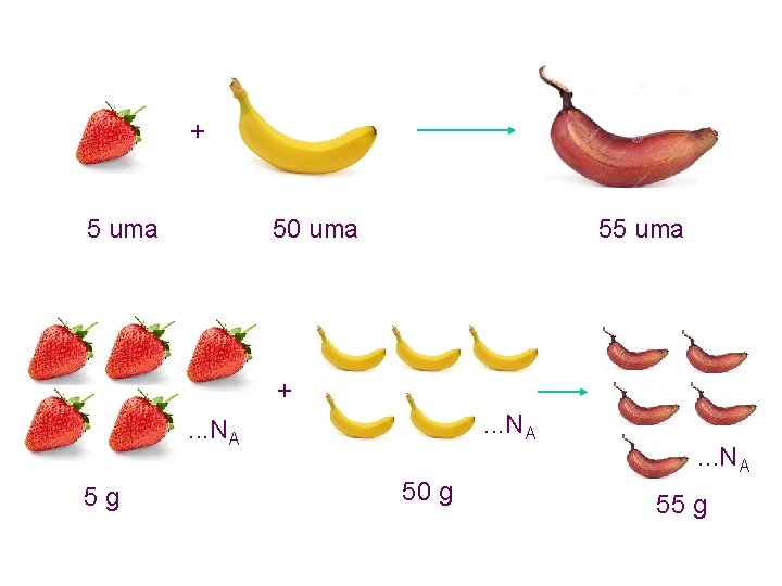 + 5 uma 50 uma 55 uma +. . . NA 5 g 50