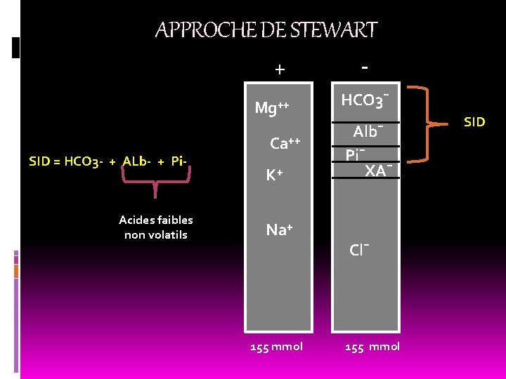 APPROCHE DE STEWART + Mg⁺⁺ SID = HCO 3 - + ALb- + Pi-