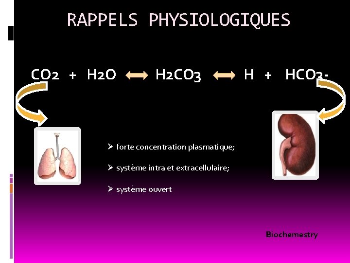 RAPPELS PHYSIOLOGIQUES CO 2 + H 2 O H 2 CO 3 H +