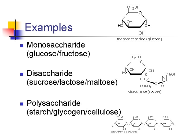 Examples n n n Monosaccharide (glucose/fructose) Disaccharide (sucrose/lactose/maltose) Polysaccharide (starch/glycogen/cellulose) 