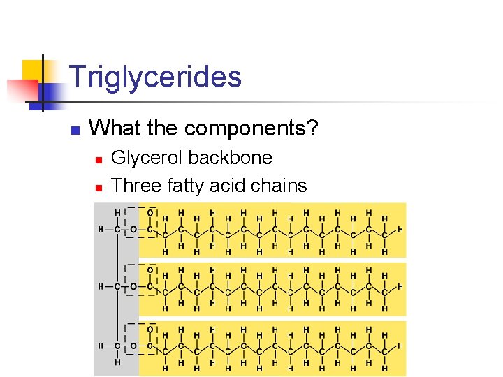 Triglycerides n What the components? n n Glycerol backbone Three fatty acid chains 