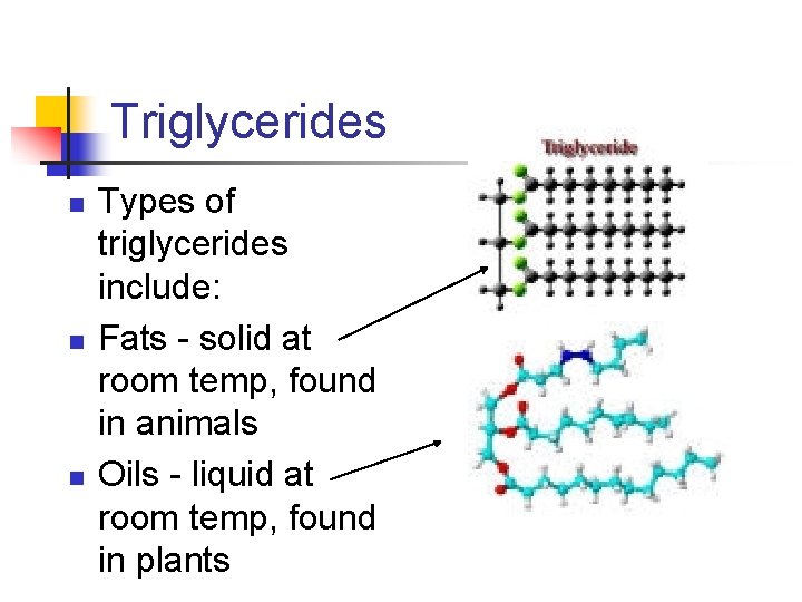 Triglycerides n n n Types of triglycerides include: Fats - solid at room temp,