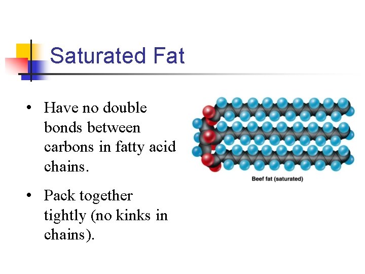 Saturated Fat • Have no double bonds between carbons in fatty acid chains. •