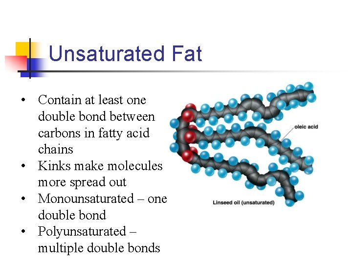 Unsaturated Fat • Contain at least one double bond between carbons in fatty acid