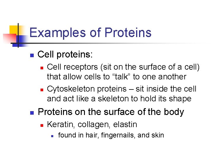 Examples of Proteins n Cell proteins: n n n Cell receptors (sit on the