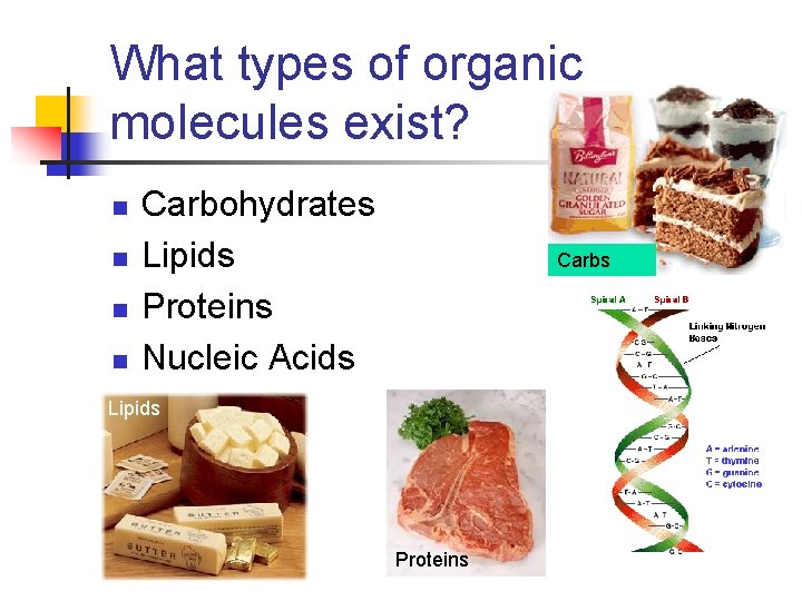 What types of organic molecules exist? n n Carbohydrates Lipids Proteins Nucleic Acids Carbs