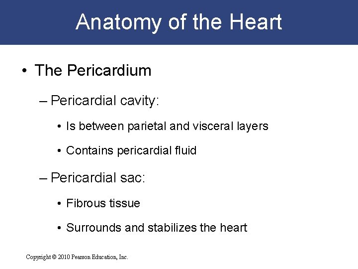 Anatomy of the Heart • The Pericardium – Pericardial cavity: • Is between parietal Anatomy of the Heart • The Pericardium – Pericardial cavity: • Is between parietal