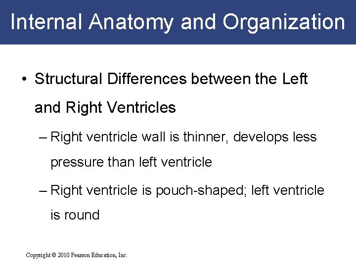 Internal Anatomy and Organization • Structural Differences between the Left and Right Ventricles – Internal Anatomy and Organization • Structural Differences between the Left and Right Ventricles –