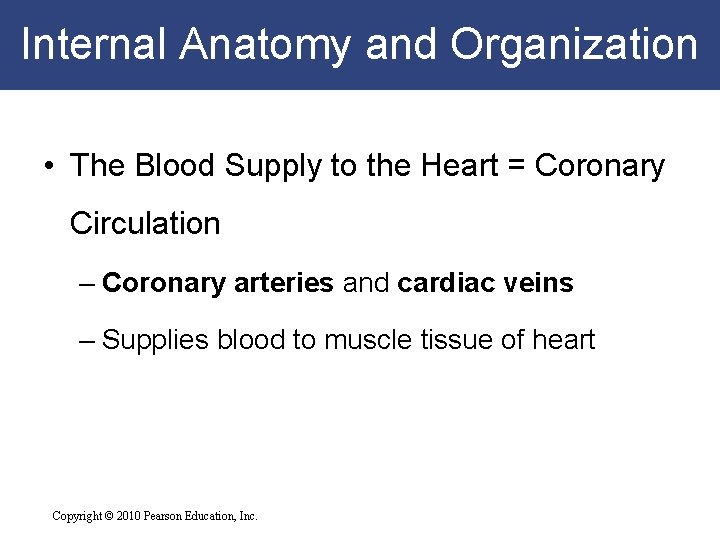 Internal Anatomy and Organization • The Blood Supply to the Heart = Coronary Circulation Internal Anatomy and Organization • The Blood Supply to the Heart = Coronary Circulation