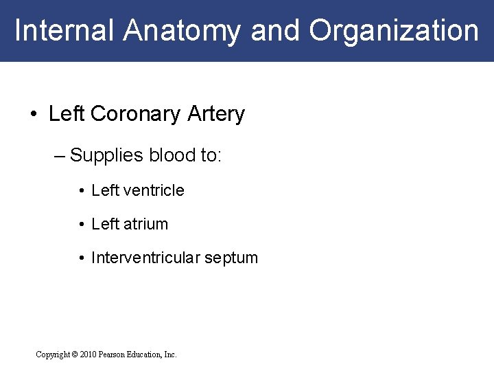 Internal Anatomy and Organization • Left Coronary Artery – Supplies blood to: • Left Internal Anatomy and Organization • Left Coronary Artery – Supplies blood to: • Left