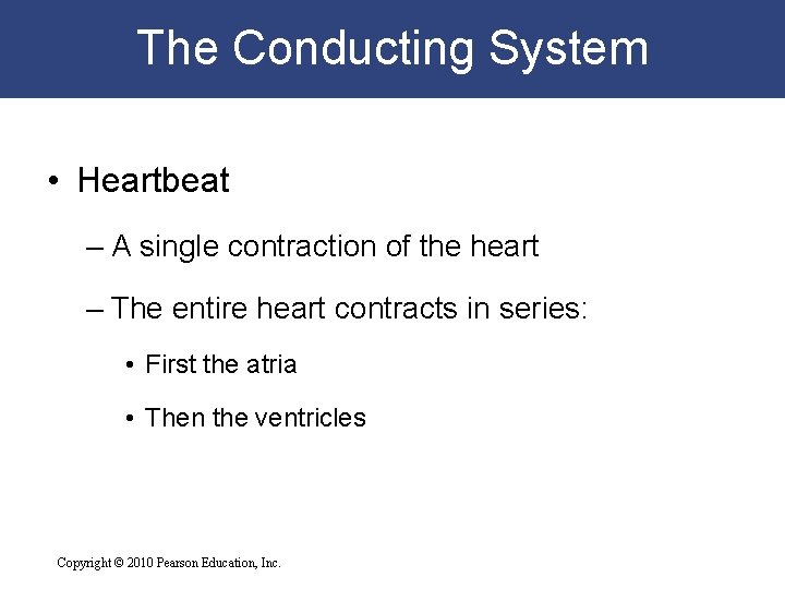 The Conducting System • Heartbeat – A single contraction of the heart – The The Conducting System • Heartbeat – A single contraction of the heart – The