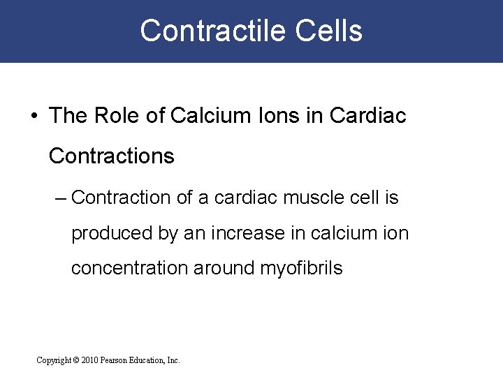 Contractile Cells • The Role of Calcium Ions in Cardiac Contractions – Contraction of Contractile Cells • The Role of Calcium Ions in Cardiac Contractions – Contraction of