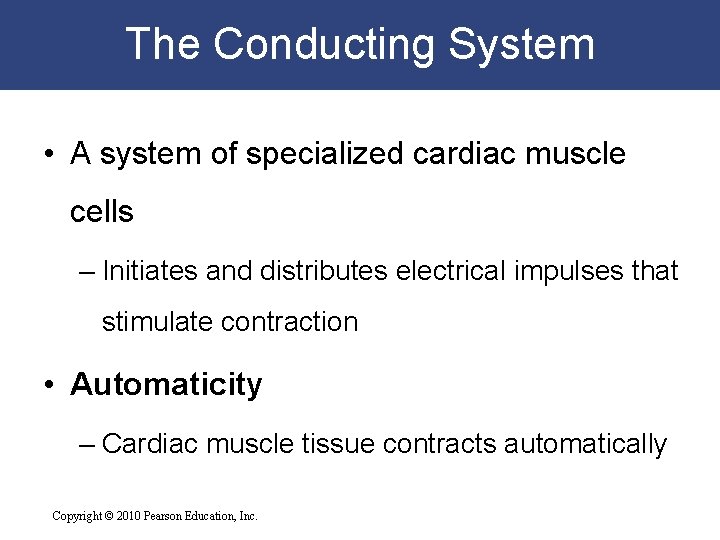 The Conducting System • A system of specialized cardiac muscle cells – Initiates and The Conducting System • A system of specialized cardiac muscle cells – Initiates and