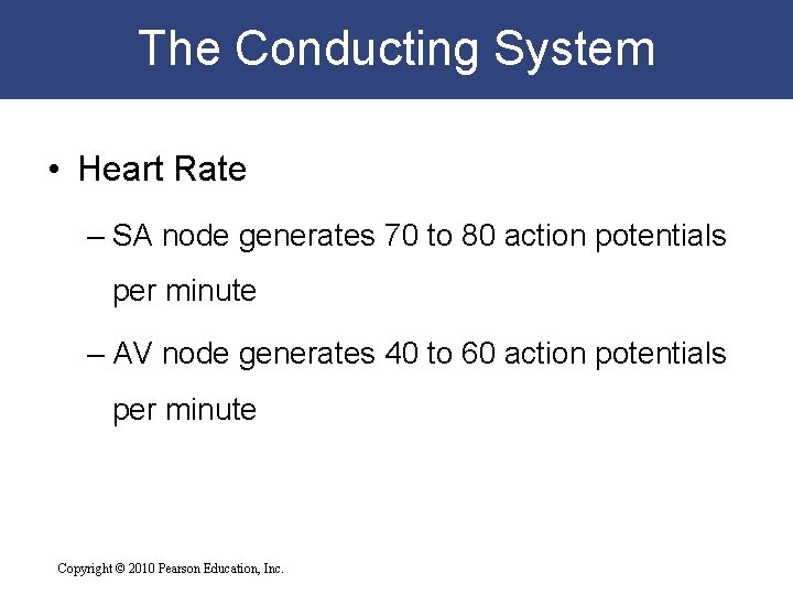 The Conducting System • Heart Rate – SA node generates 70 to 80 action The Conducting System • Heart Rate – SA node generates 70 to 80 action