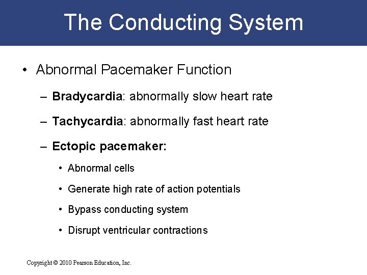 The Conducting System • Abnormal Pacemaker Function – Bradycardia: abnormally slow heart rate – The Conducting System • Abnormal Pacemaker Function – Bradycardia: abnormally slow heart rate –
