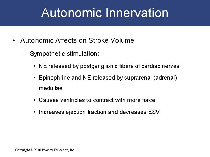 Autonomic Innervation • Autonomic Affects on Stroke Volume – Sympathetic stimulation: • NE released Autonomic Innervation • Autonomic Affects on Stroke Volume – Sympathetic stimulation: • NE released