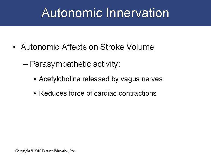Autonomic Innervation • Autonomic Affects on Stroke Volume – Parasympathetic activity: • Acetylcholine released Autonomic Innervation • Autonomic Affects on Stroke Volume – Parasympathetic activity: • Acetylcholine released