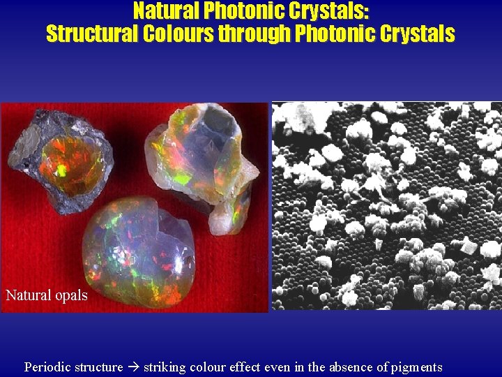 Natural Photonic Crystals: Structural Colours through Photonic Crystals Natural opals Periodic structure striking colour
