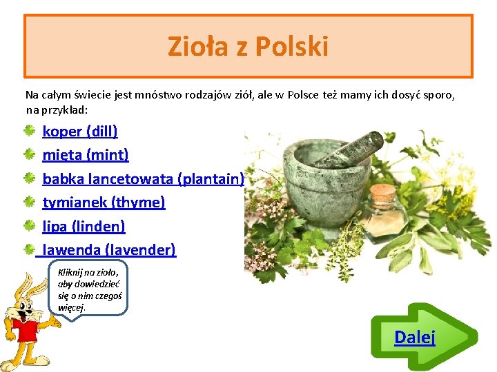 Zioła z Polski Na całym świecie jest mnóstwo rodzajów ziół, ale w Polsce też