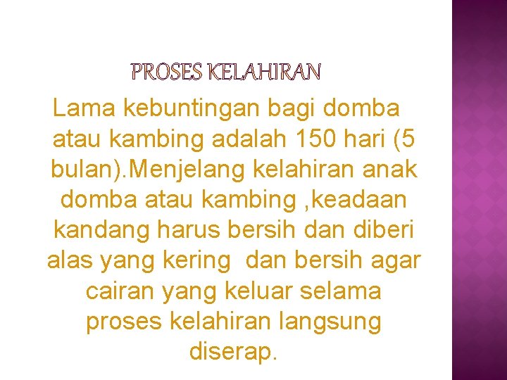 Lama kebuntingan bagi domba atau kambing adalah 150 hari (5 bulan). Menjelang kelahiran anak Lama kebuntingan bagi domba atau kambing adalah 150 hari (5 bulan). Menjelang kelahiran anak