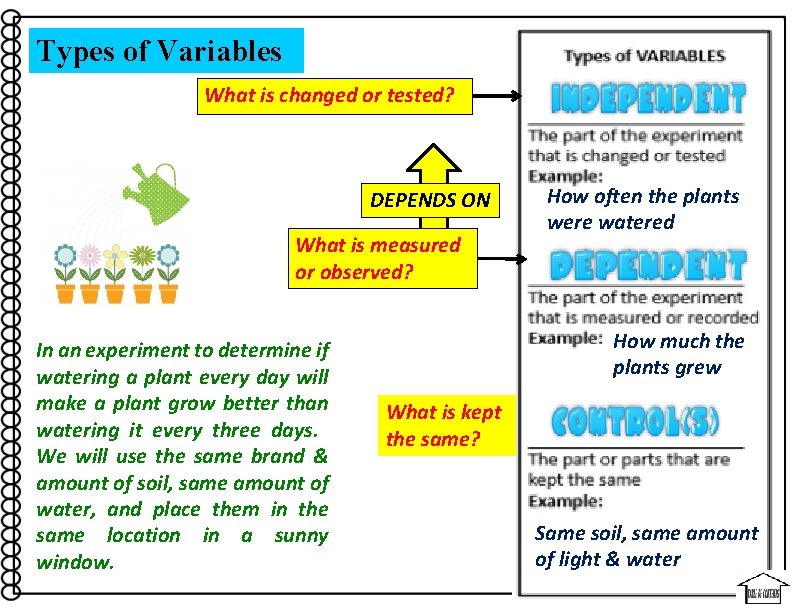 Types of Variables What is changed or tested? DEPENDS ON What is measured or