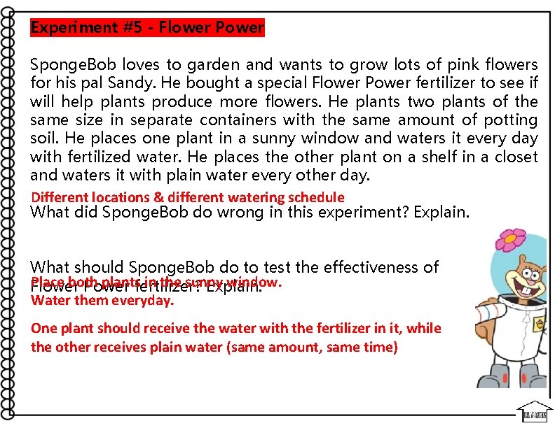 Experiment #5 - Flower Power Sponge. Bob loves to garden and wants to grow