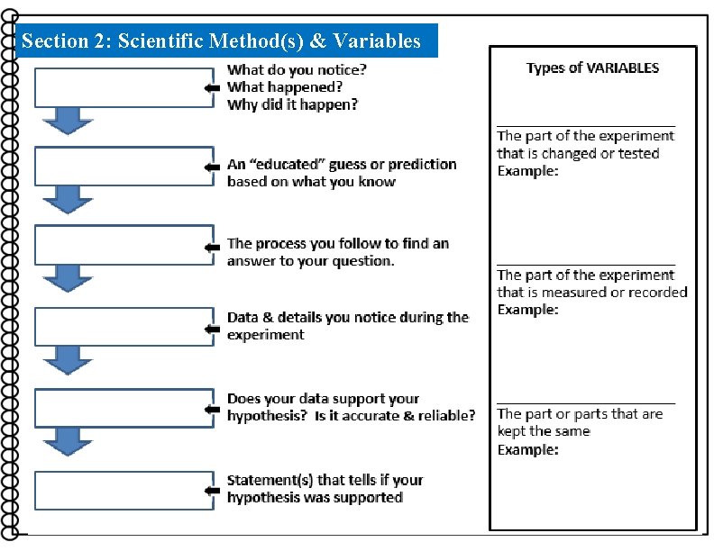 Section 2: Scientific Method(s) & Variables 