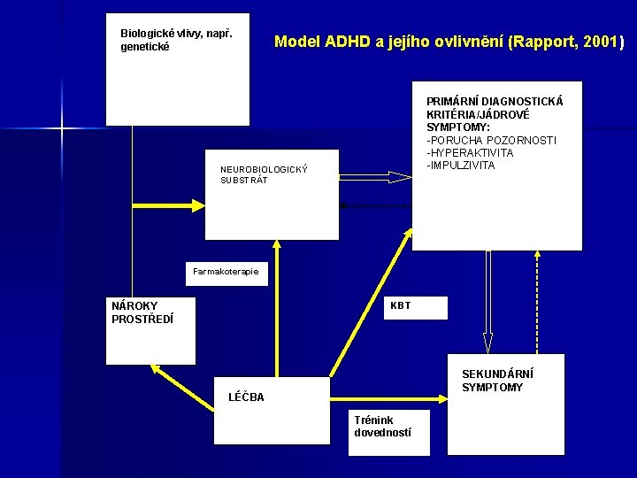 Biologické vlivy, např. genetické Model ADHD a jejího ovlivnění (Rapport, 2001) PRIMÁRNÍ DIAGNOSTICKÁ KRITÉRIA/JÁDROVÉ Biologické vlivy, např. genetické Model ADHD a jejího ovlivnění (Rapport, 2001) PRIMÁRNÍ DIAGNOSTICKÁ KRITÉRIA/JÁDROVÉ