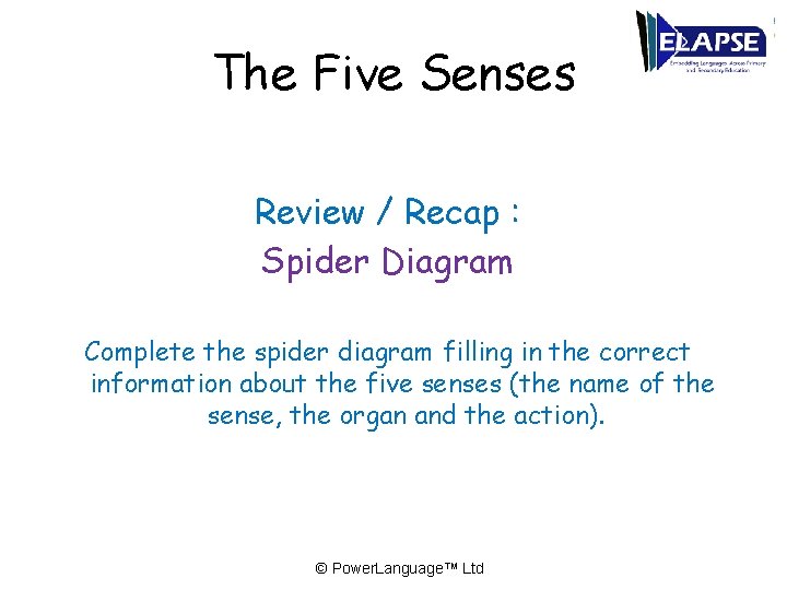 The Five Senses Review / Recap : Spider Diagram Complete the spider diagram filling