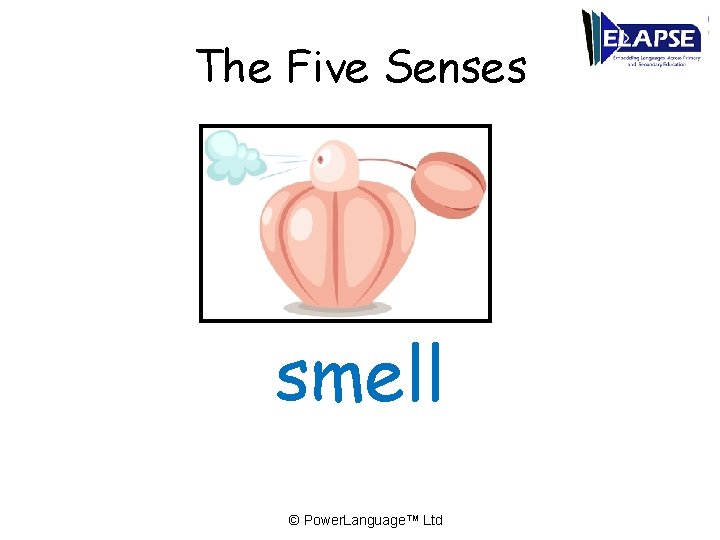 The Five Senses smell © Power. Language™ Ltd 