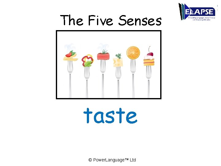 The Five Senses taste © Power. Language™ Ltd 