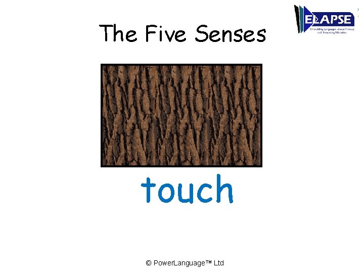 The Five Senses touch © Power. Language™ Ltd 