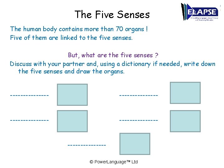 The Five Senses The human body contains more than 70 organs ! Five of
