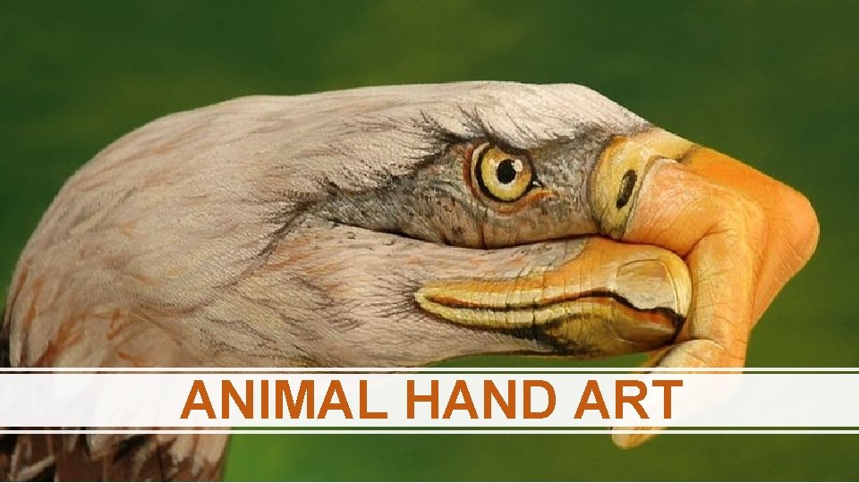 ANIMAL HAND ART 