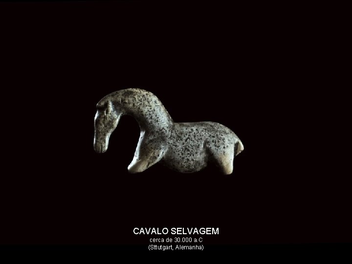 CAVALO SELVAGEM. pré-história cerca de 30. 000 a. C (Sttutgart, Alemanha) 