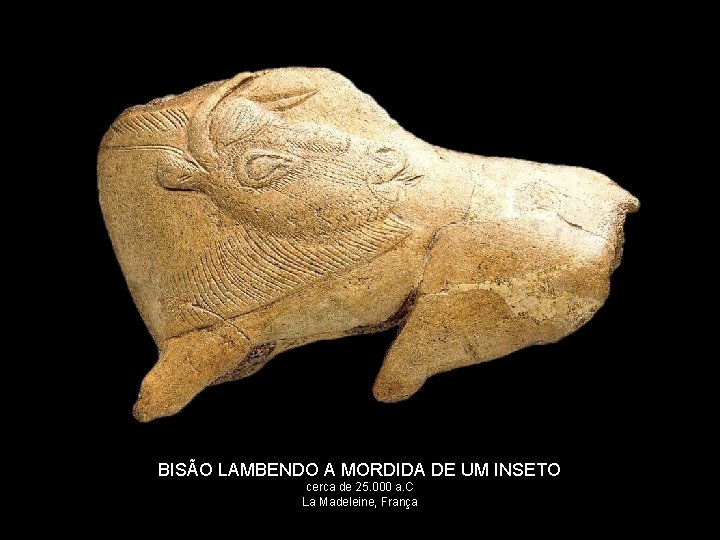 BISÃO LAMBENDO A MORDIDA DE UM INSETO cerca de 25. 000 a. C La