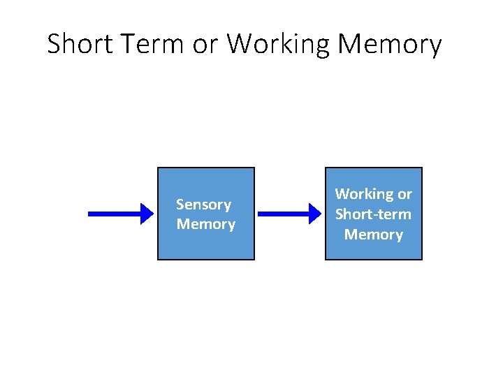 Short Term or Working Memory Sensory Input Sensory Memory Attention Working or Short-term Memory