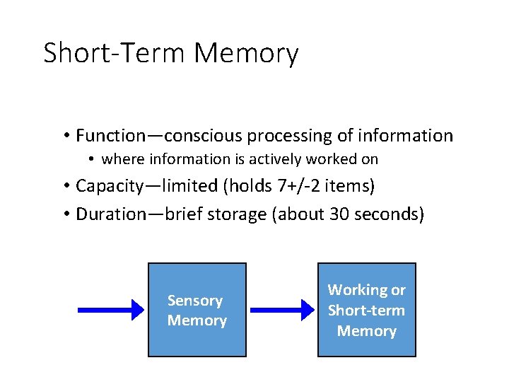 Short-Term Memory • Function—conscious processing of information • where information is actively worked on