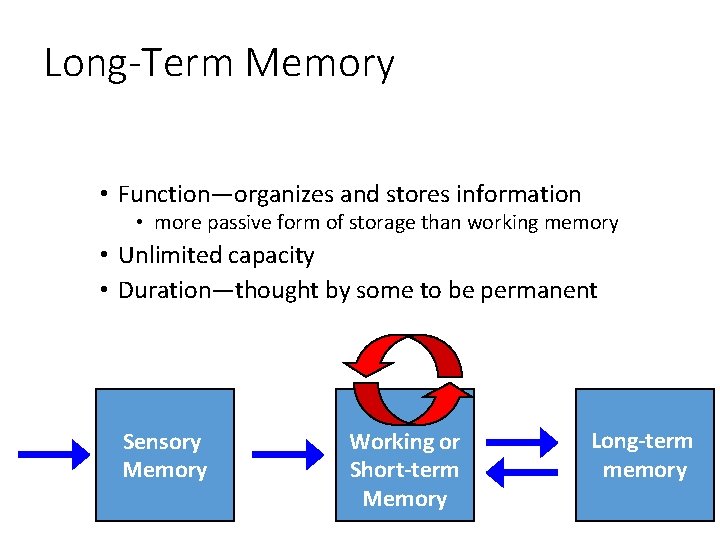 Long-Term Memory • Function—organizes and stores information • more passive form of storage than