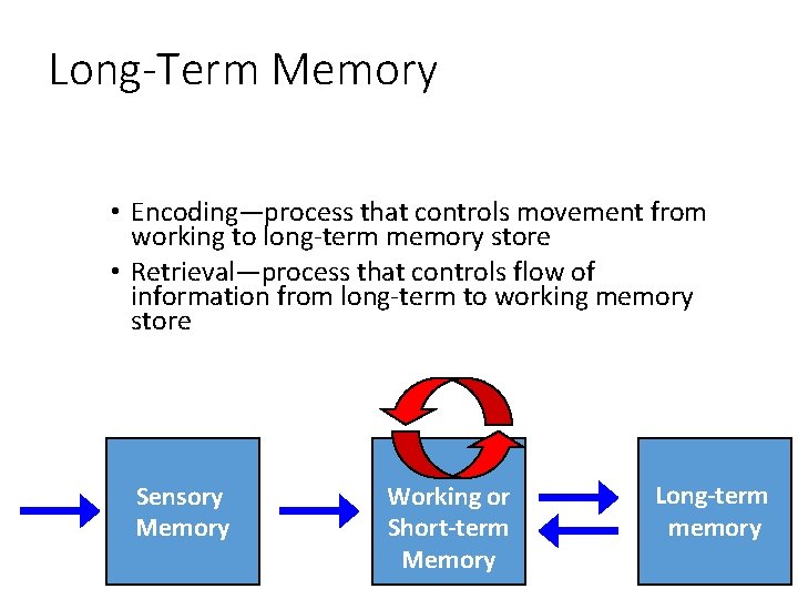 Long-Term Memory • Encoding—process that controls movement from working to long-term memory store •