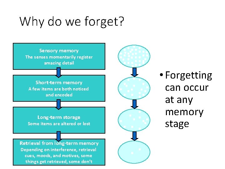 Why do we forget? Sensory memory The senses momentarily register amazing detail Short-term memory
