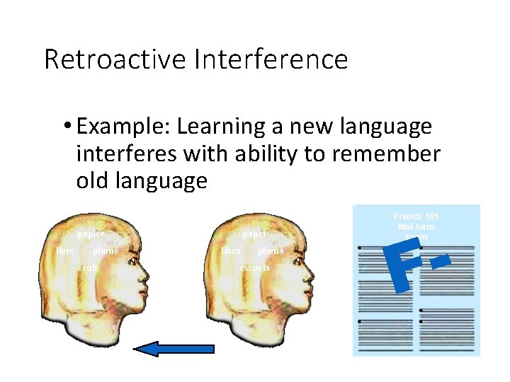 Retroactive Interference • Example: Learning a new language interferes with ability to remember old