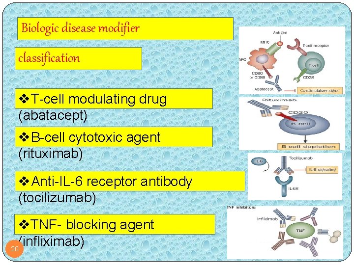 Biologic disease modifier classification v. T-cell modulating drug (abatacept) v. B-cell cytotoxic agent (rituximab)