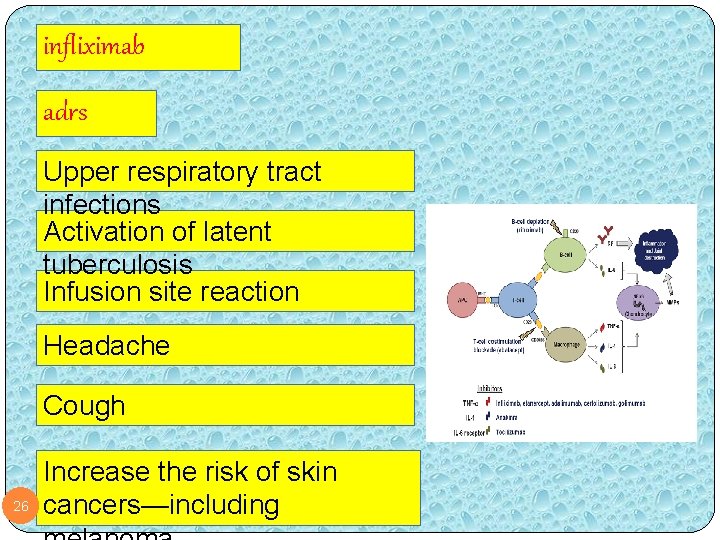 infliximab adrs Upper respiratory tract infections Activation of latent tuberculosis Infusion site reaction Headache